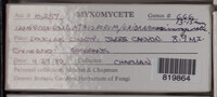 Image Associated With the Occurence